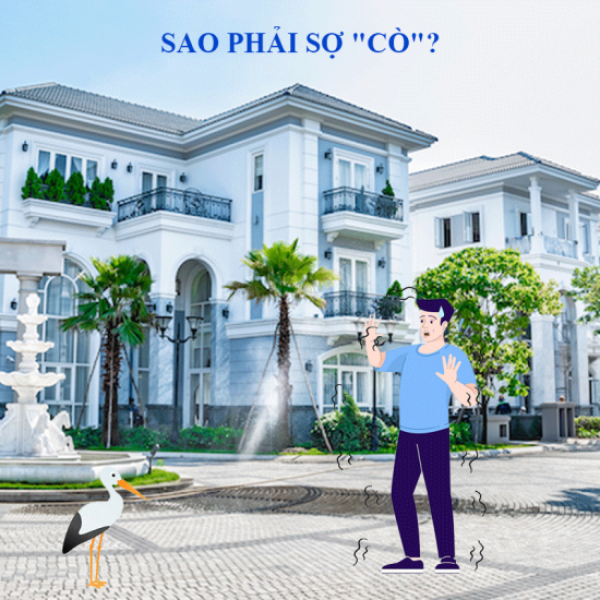 Sao phải sợ CÒ?