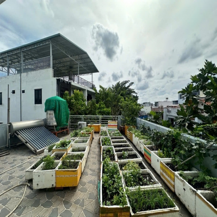 BIỆT THỰ CHẾ LAN VIÊN, 15x16m, 3 TẦNG, HẺM 2 XE HƠI, 10 TỶ NHỈNH - 16