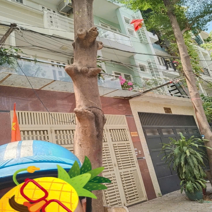 HẺM BIỆT THỰ 12m, NHÀ BÁN TRẦN VĂN ƠN, 4 TẦNG, 4x16m - 3