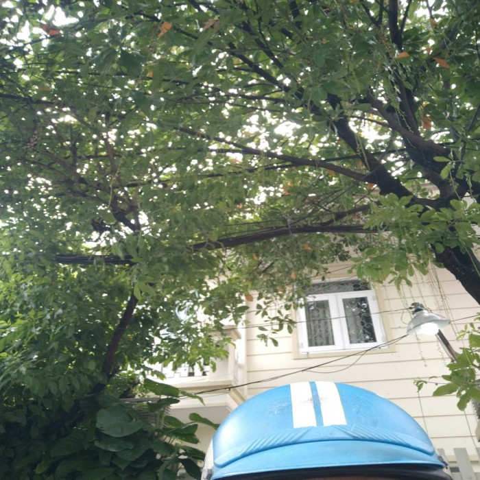 BÁN NHÀ MỚI NGUYỄN HỮU DẬT, KHU BIỆT THỰ CAO CẤP, 7x18m, ĐƯỜNG VỈA HÈ 14m, 15 TỶ NHỈNH