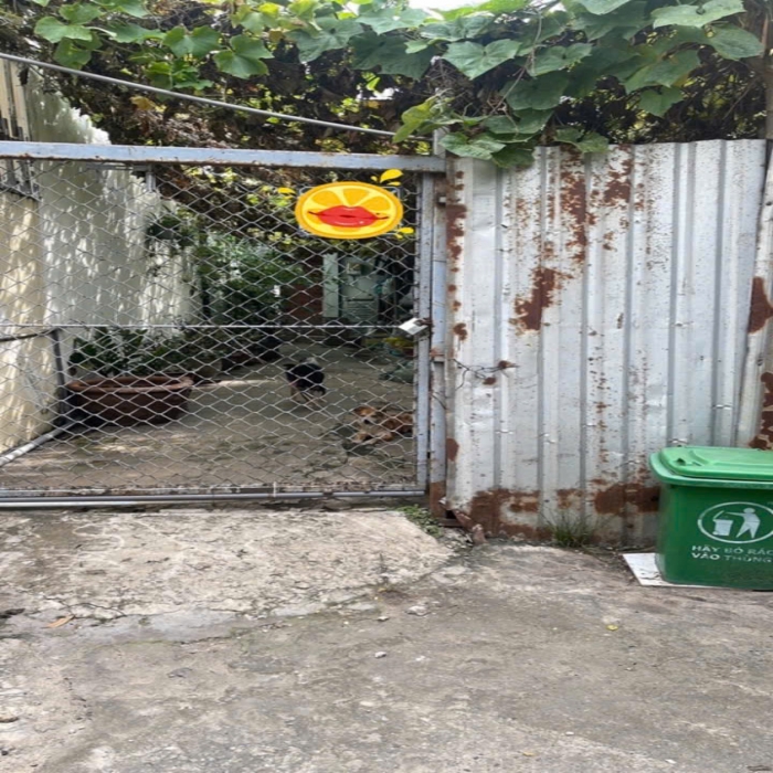 ĐẤT LÊ TRỌNG TẤN, 16x21m, HẺM XE TẢI, NỞ HẬU, 11 TỶ NHỈNH - 3