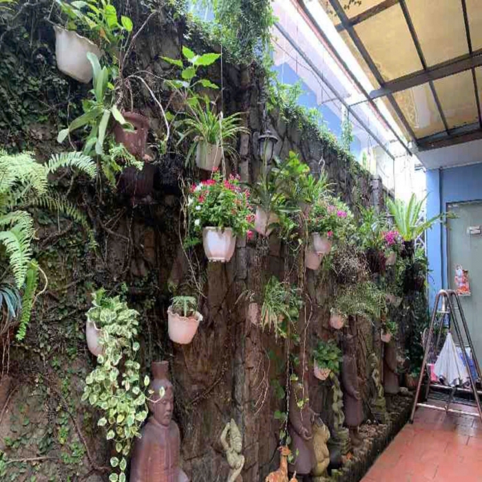 BIỆT THỰ DƯƠNG ĐỨC HIỀN, 9x19m, 3 TẦNG, HẺM XE HƠI TRÁNH, 25 TỶ NHỈNH - 2