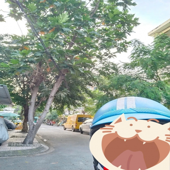 14.2-12.2 TỶ, MẶT TIỀN TÂY THẠNH, TÂN PHÚ, NỞ HẬU, 5.7x17m, DÒNG TIỀN CAO - 3