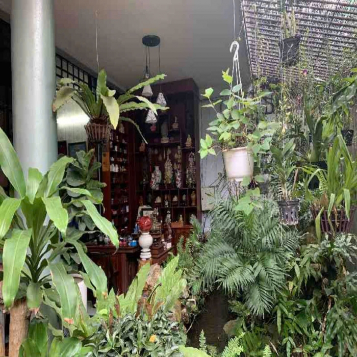 BIỆT THỰ DƯƠNG ĐỨC HIỀN, 9x19m, 3 TẦNG, HẺM XE HƠI TRÁNH, 25 TỶ NHỈNH - 3