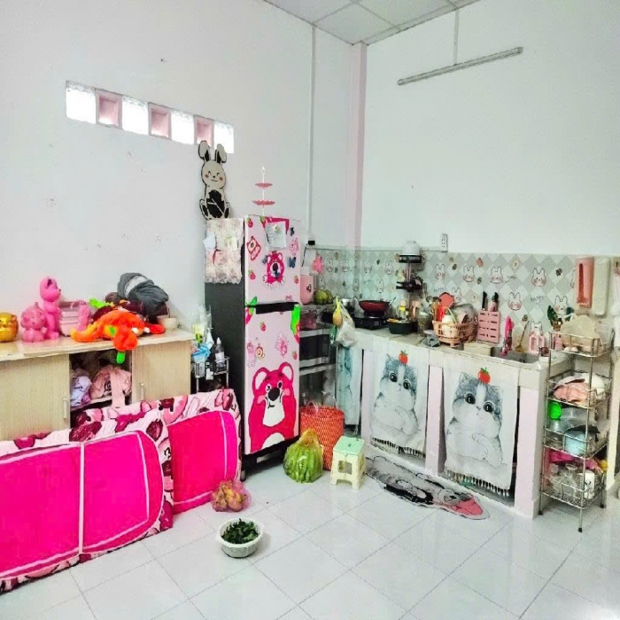 10-8.55 TỶ, MUA NHÀ DƯƠNG ĐỨC HIỀN, TÂY THẠNH, NỞ HẬU, 5/6x22m - 4