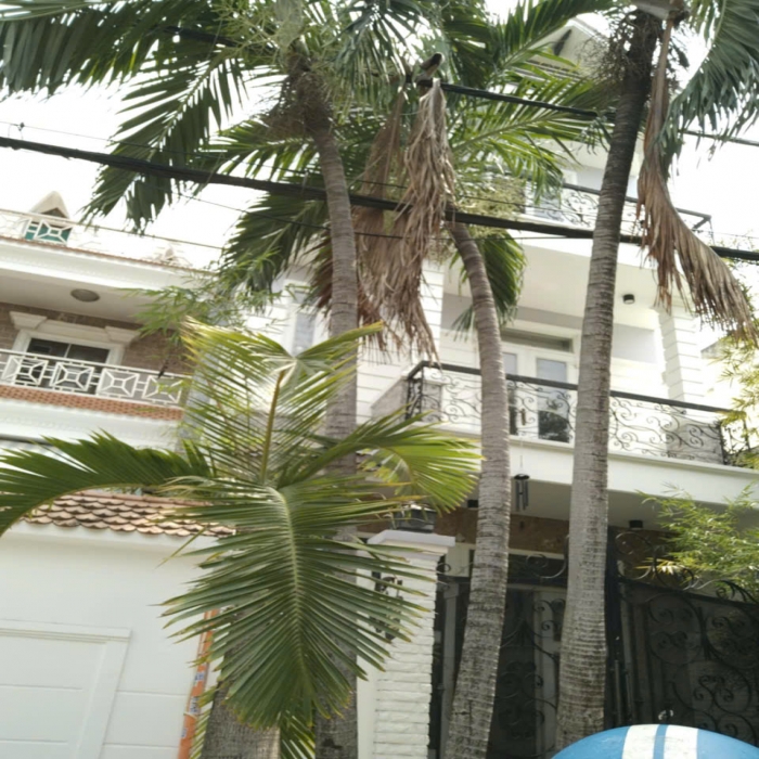 15-13.3 tỷ, Như biệt thự mini, 5x20m, bán nhà đẹp, mặt tiền đường D16, Tân Phú, 4 tầng - 4