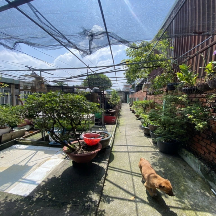 LÊ TRỌNG TẤN, 190m2, XE TẢI NGỦ SÂN NHÀ, SÁT MẶT TIỀN, 12.9 TỶ NHỈNH - 4