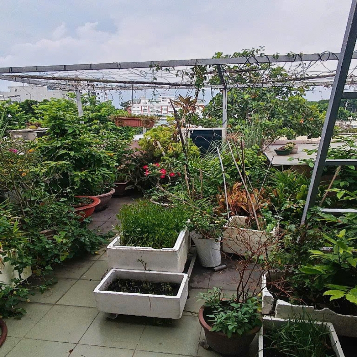 XE HƠI NGỦ NHÀ, 3 TẦNG, 5x18m, CĂN GÓC KÊNH 19.5 - 4