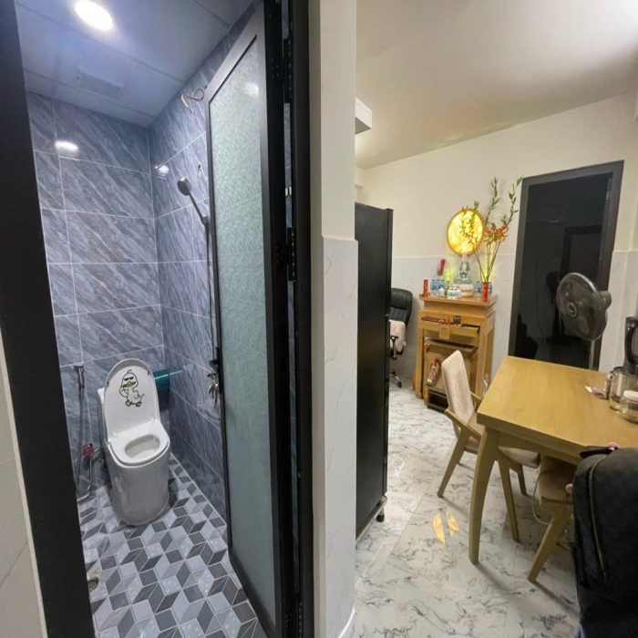 120m2, 4 TẦNG, XE HƠI NGỦ NHÀ, TÂN SƠN NHÌ - 4