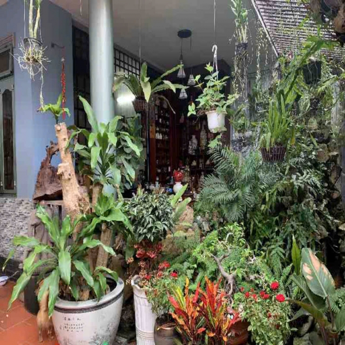 BIỆT THỰ DƯƠNG ĐỨC HIỀN, 9x19m, 3 TẦNG, HẺM XE HƠI TRÁNH, 25 TỶ NHỈNH - 4