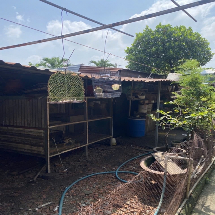 LÊ TRỌNG TẤN, 190m2, XE TẢI NGỦ SÂN NHÀ, SÁT MẶT TIỀN, 12.9 TỶ NHỈNH - 5