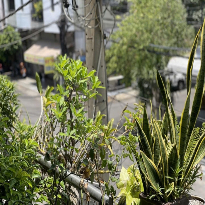 GÒ DẦU, HẺM 12m, VỈA HÈ 3m, NHÀ RỘNG 5m, 1 TẦNG, 10 TỶ NHỈNH - 5