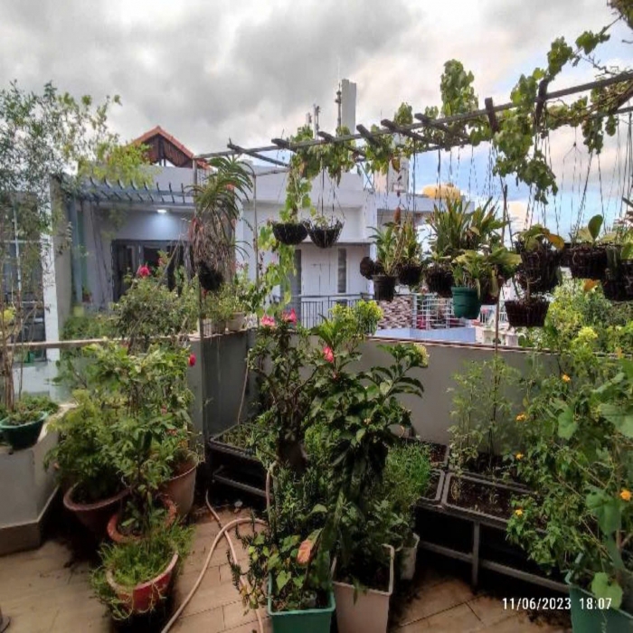 NGUYỄN HỮU DẬT, LÔ GÓC, 5 TẦNG, 4x15m, 9 TỶ NHỈNH - 6