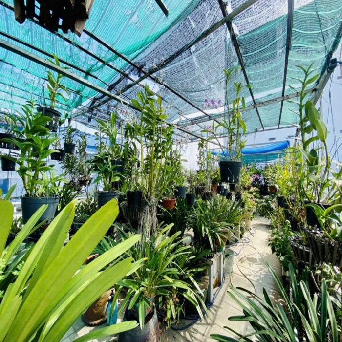 MẶT TIỀN ĐƯỜNG S2, 116m2, 5 TẦNG BTCT, CÓ GARA ÔTÔ, 13 TỶ NHỈNH - 6