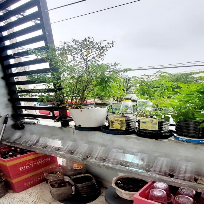 MẶT TIỀN ĐƯỜNG DC13, 52m2, VỈA HÈ 4m, CẠNH CC SƠN KỲ, 8 TỶ NHỈNH - 6