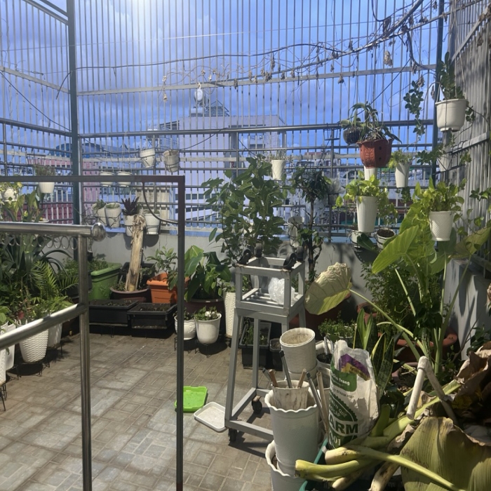 GIẢM SỐC, 12.5-10.2 TỶ, BÁN NHÀ GÒ DẦU, CĂN GÓC, HXH THÔNG, 4 TẦNG, 5x15m - 7