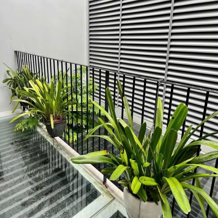 25.5 còn 18.5 tỷ, BÁN NHÀ MẶT TIỀN, 8.3x28m, NỞ HẬU, 4 TẦNG, NGUYỄN HỮU TIẾN, TÂN PHÚ - 8