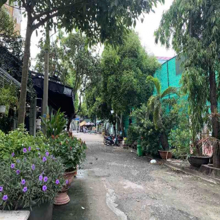 BIỆT THỰ DƯƠNG ĐỨC HIỀN, 9x19m, 3 TẦNG, HẺM XE HƠI TRÁNH, 25 TỶ NHỈNH - 9